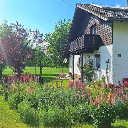 Pension Schneider Frauenau Exteriör bild
