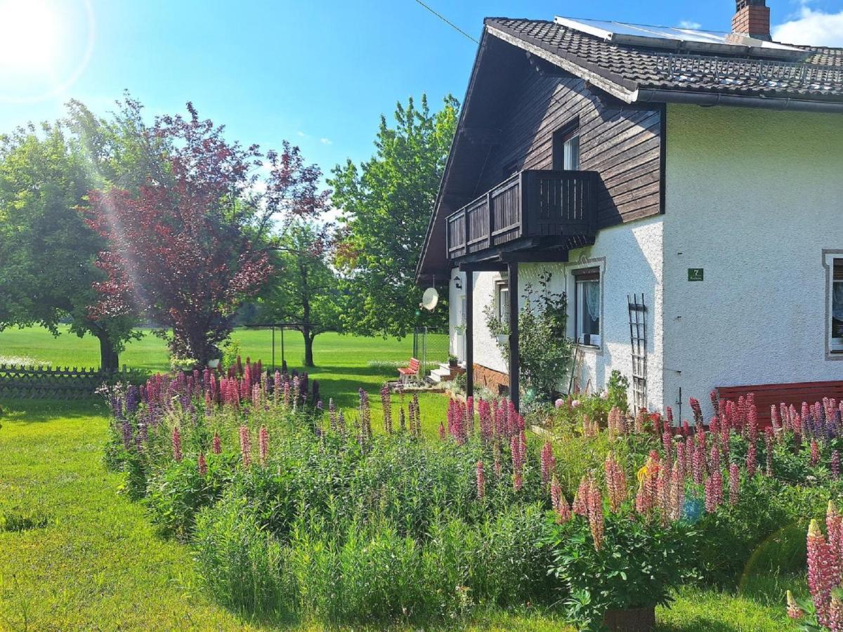 Pension Schneider Frauenau Exteriör bild