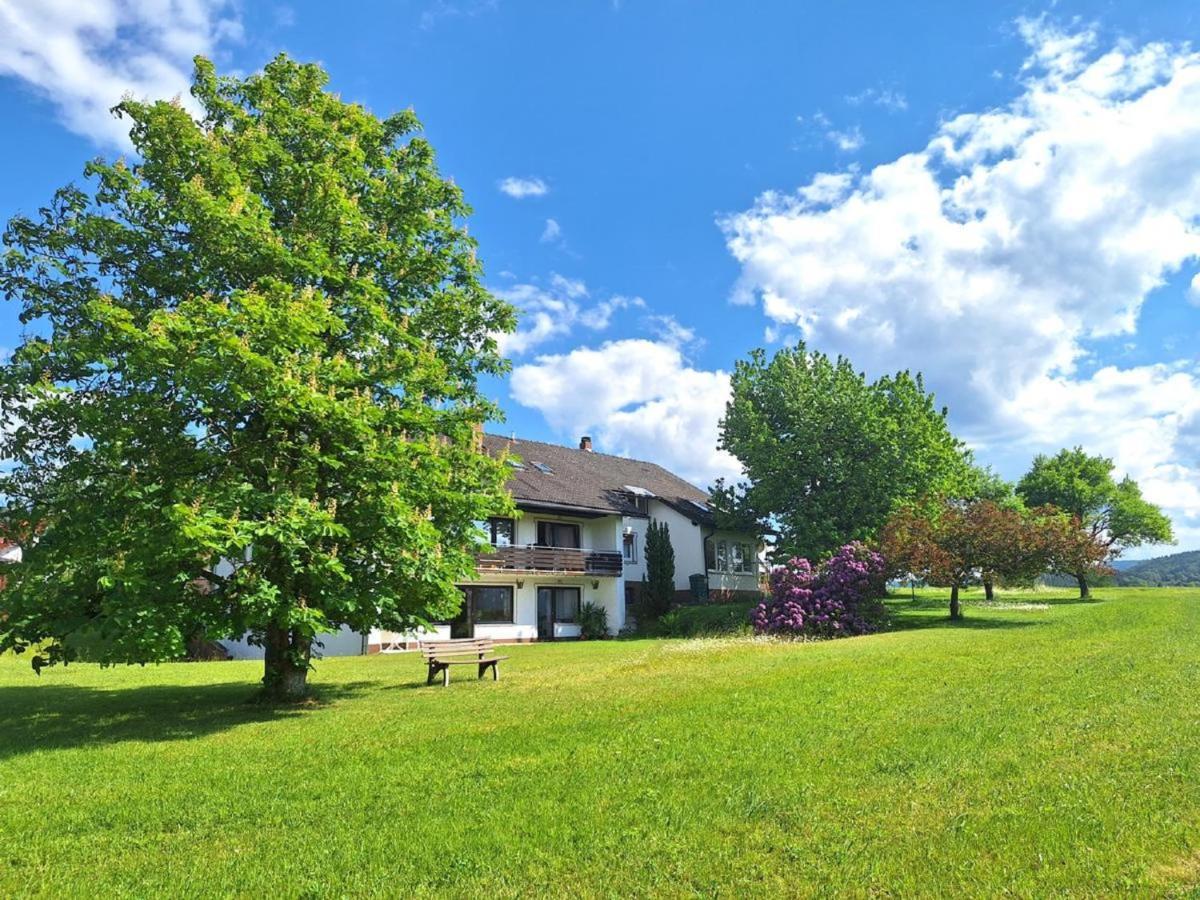 Pension Schneider Frauenau Exteriör bild