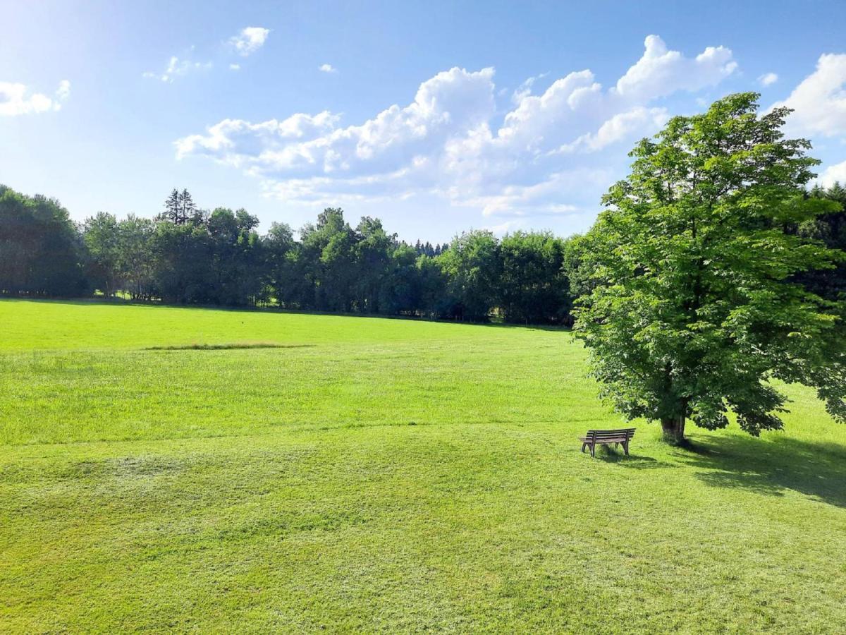 Pension Schneider Frauenau Exteriör bild