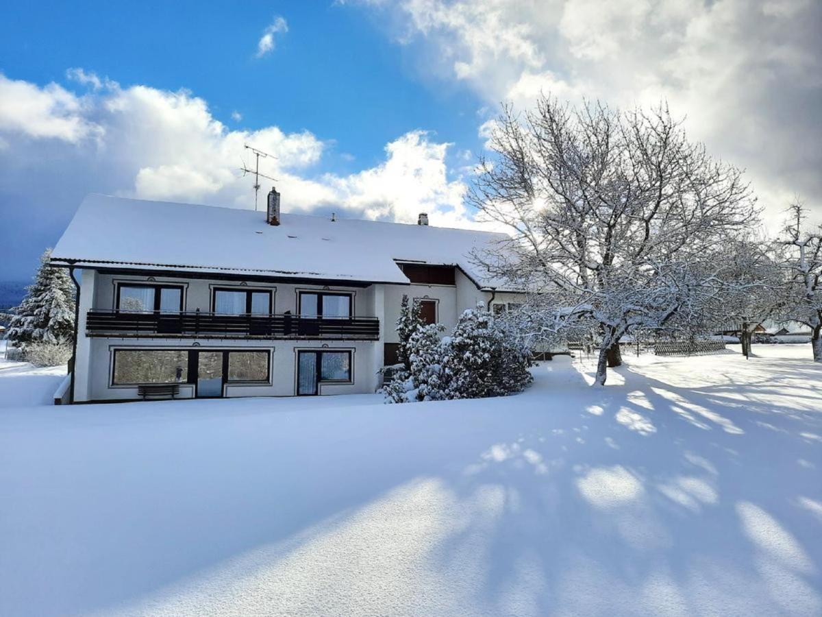 Pension Schneider Frauenau Exteriör bild