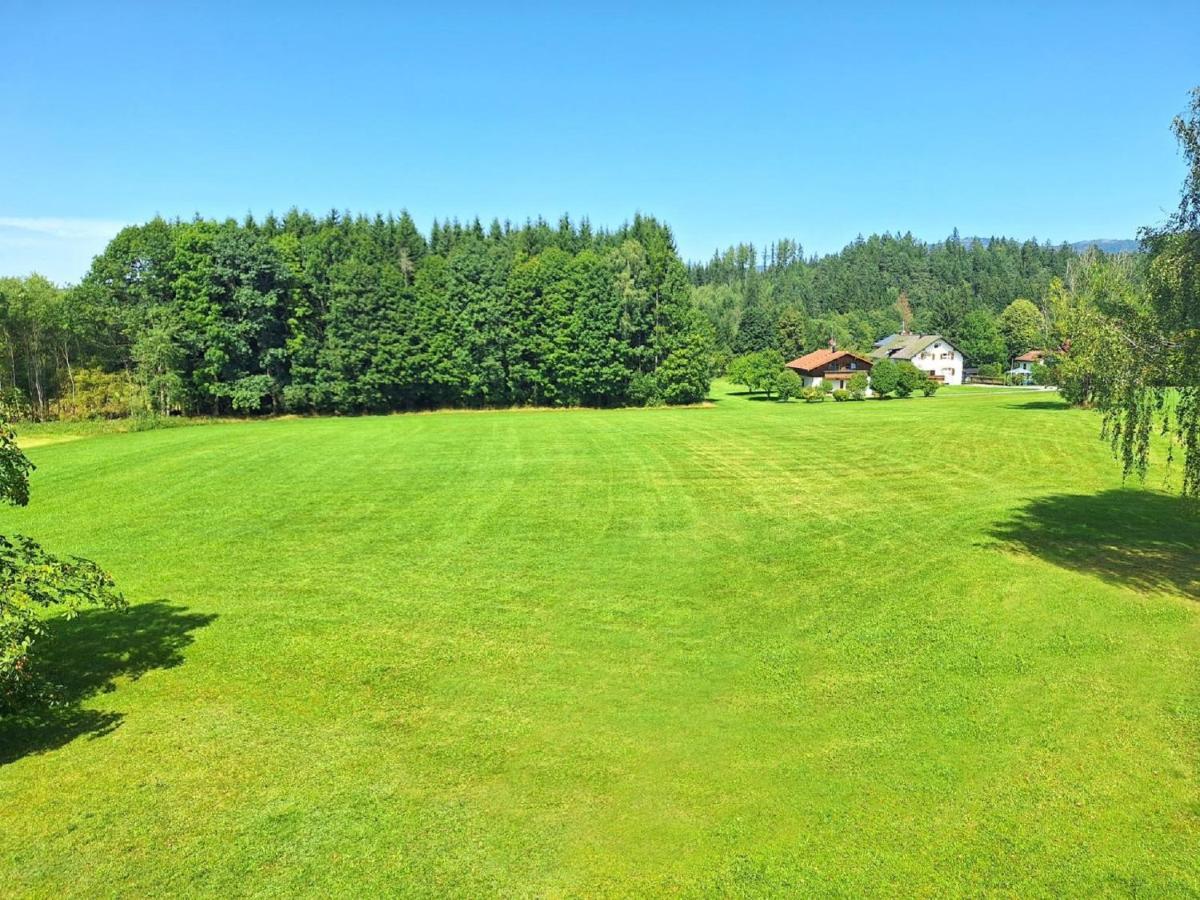 Pension Schneider Frauenau Exteriör bild